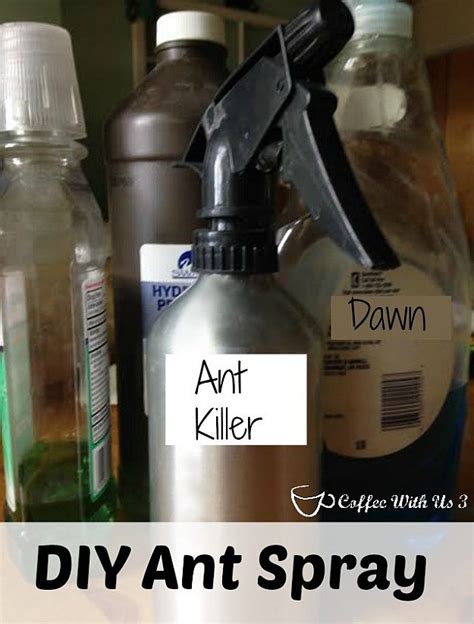 Ingredients for the best homemade natural ant killer. DIY Ant Killer | 5 Ant Killer Recipes You Can Make at Home DIY Ready