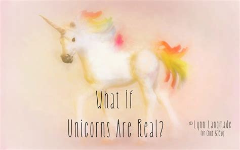 Are Unicorns Real Yes And No A Visual History Of The Unicorn — Chub