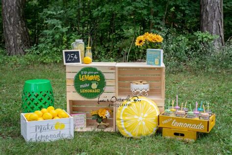 makin lemonade backdrops canada