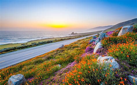 Charming Coastal Road Flowers Landscape Orange Flowers Hd Wallpaper