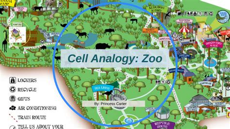 Cell Analogy: Zoo by Princess Carter