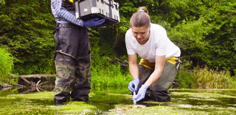Green Jobs For Nature Cieem