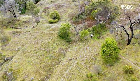 The Goldfields Track Bendigo To Ballarat A Walk Through Upside Down Country