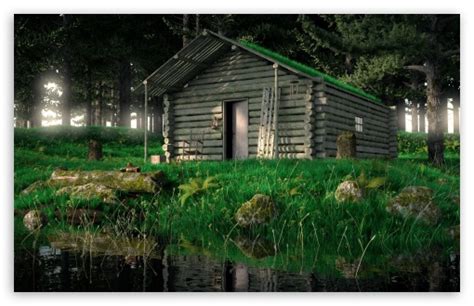 Tons of awesome wood wallpapers 1080p to download for free. Wood Cabin In The Woods 3D Ultra HD Desktop Background ...