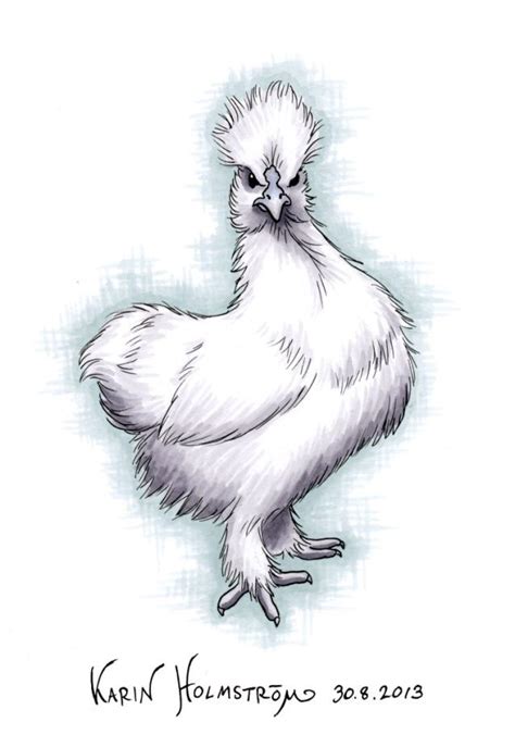 Chicken Painting Chicken Drawing Chicken Art