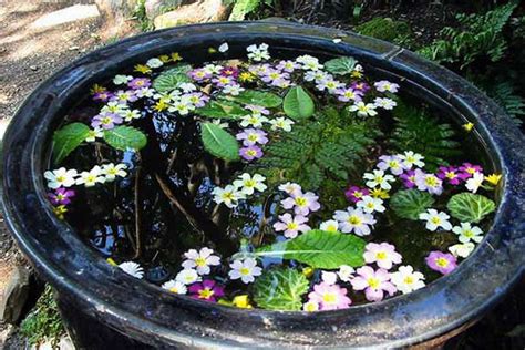 Maybe you would like to learn more about one of these? Heller Garten - Botanischer Garten Giardino Botanico ...