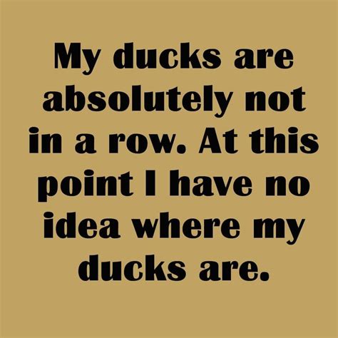 My Ducks Are Absolutely Not In A Row Pictures Photos And Images For