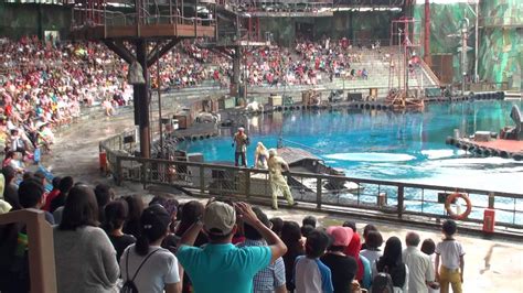 The remaining people travel the seas, in search of survival. Waterworld - Universal Studios Singapore - YouTube