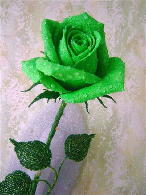 Very bright bouquet of flowers. Top 10 Most Beautiful Green Roses