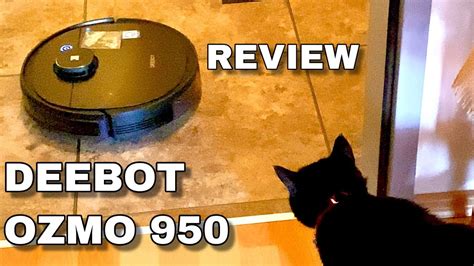 Kinder, die mit haustieren aufwachsen, entwickeln bessere soziale fähigkeiten als solche. Katzen Haare im Haus! - ECOVACS DEEBOT OZMO 950 im Test ...