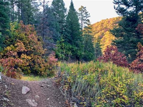 5 Enchanting Hikes In Taos Outdoor Pilgrim