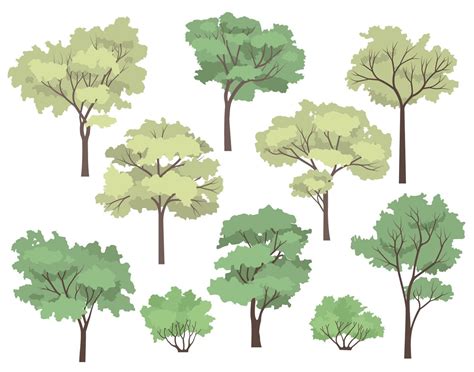 10 Set Of Flat Vector Trees Clipart Flat Vector Plant Etsy Sweden