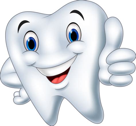Funny Cartoon Tooth Vector Illustration 03 Free Download