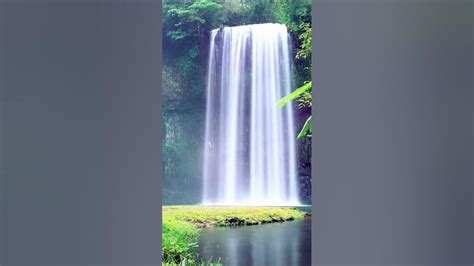 Calming Waterfall Sounds Shorts Waterfall Nature Asmr Youtube