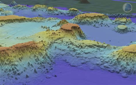 Necker Ridge Images The Center For Coastal And Ocean Mapping