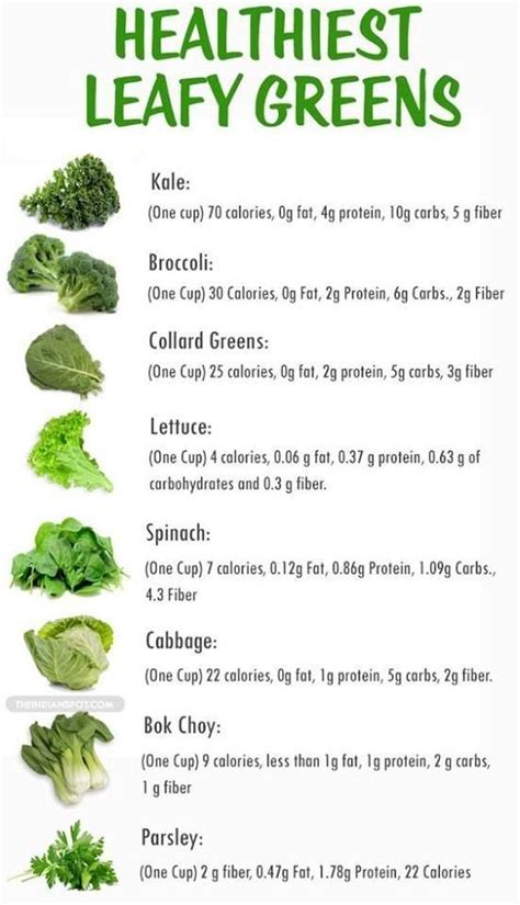List Of Leafy Green Vegetables Healthy Lifestyle