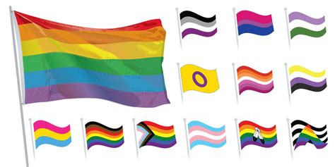 Pride Flag Guide Lgbtq Community S Varied Flags And Who They Represent