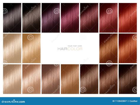 Color Chart For Hair Dye Tints Hair Color Palette With A Range Stock
