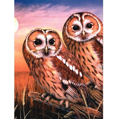 Paint by numbers home houses 1500+ paint by number kits for adults. Tawny Owls - Medium Paint By Numbers - CraftyArts.co.uk