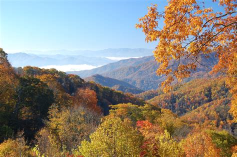 The 5 Best Places To See Fall Colors In The Smoky Mountains