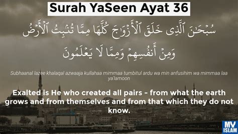 Surah Yaseen Ayat 369 Quran With Tafsir My Islam 50 Off