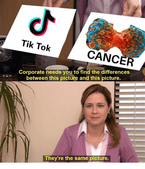 Tik Tok Cancer Corporate Needs You To Find The Differences Between This Picture And This Picture