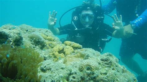 Best Scuba Diving In Andaman And Nicobar India Youtube