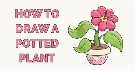 Plant Drawings Easy Drawing Guides