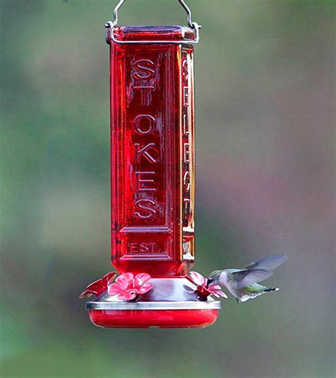 Use hummingbird feeders that— • are easy and quick to clean; Amazon.com : More Birds Hummingbird Feeder, Glass ...