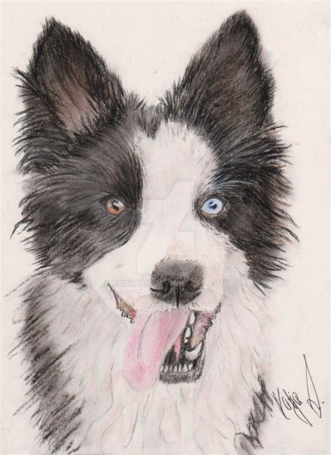 Border Collie Drawing In Pastell Dog By Kadiiaah On Deviantart