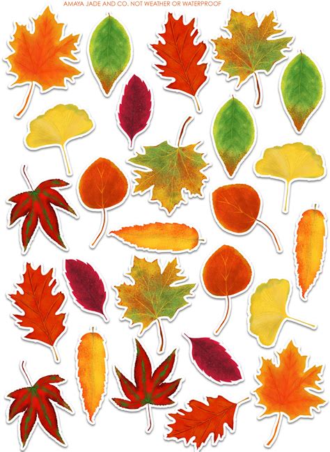 Fall Leaves Sticker Set Labels Stationary Autumn Autumn Leaves Fall