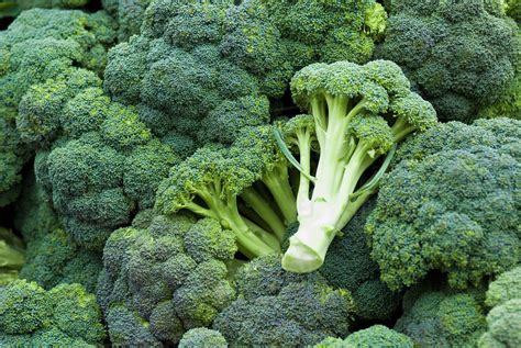 Pile Of Broccoli Stock Photo Dissolve