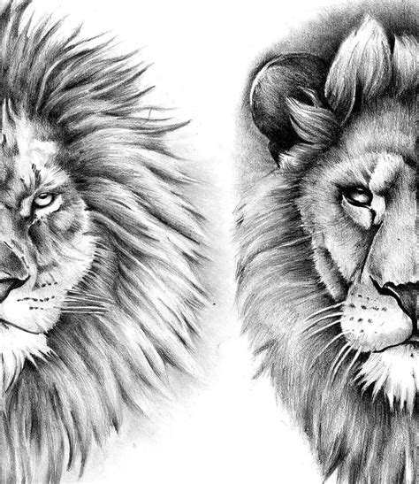 4 X Realistic Lion Tattoo Design Digital Download