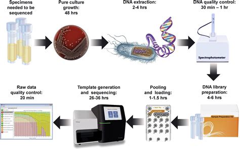 Next Generation Sequencing Technologies And Their Application To The