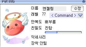 동생과 놀아주는 형아 천지와 게임에 져서 슬픈 큰꼬물이(°ロ°) 그리고 제일 얌전한 작은꼬물이 #틴탑 #teentop #엔젤링_취미는_비하인드공개. 라그나로크 인벤 : 마스터링에서 엔젤링 절친까지.. - 라그나로크 ...