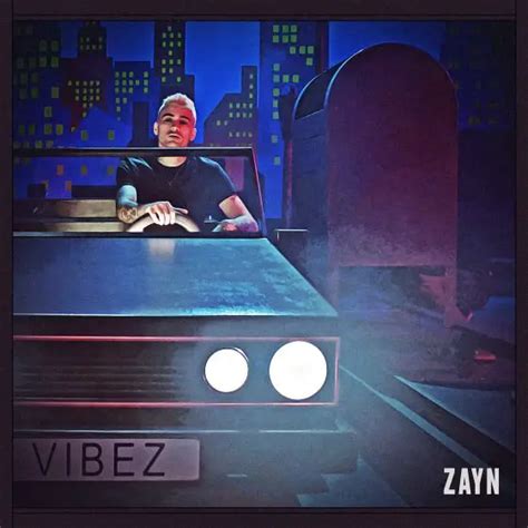 Chill Out With Zayns Super Mellow Vibez Music Video