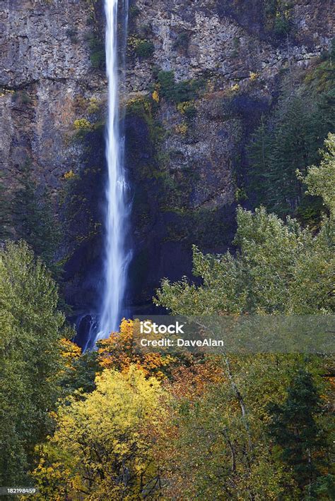 Multnomah Falls Fall Colors Stock Photo Download Image Now Autumn