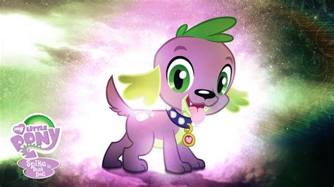 Little Pony Dog Wallpaper 80 Images