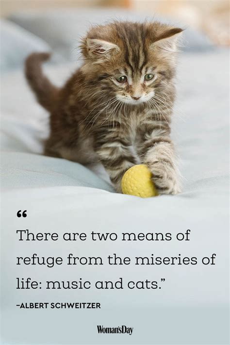 45 Adorable Cat Quotes That Will Melt Your Heart Cat Quotes Cat