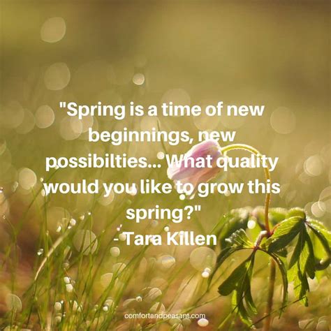16 Inspirational Spring Quotes And Sayings Swan Quote
