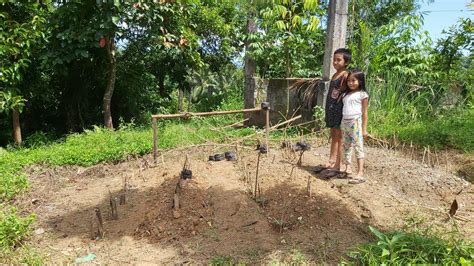 Vegetable Farming In Aklan Philippines Gffhelps