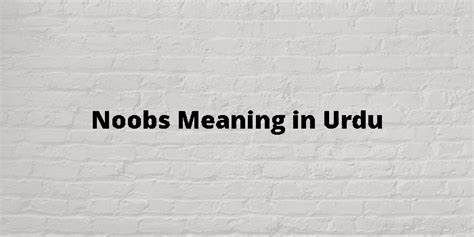 Noobs Meaning In Urdu اردو معنی