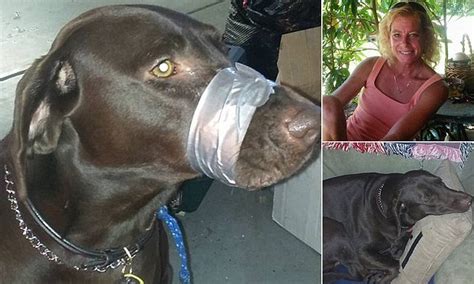 Woman Who Posted Facebook Photo Of Dogs Mouth Duct Taped Shut Is
