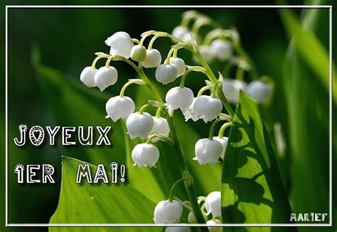 En mai, fais ce qu'il te plaît. Joyeux 1er Mai avec du muguet - image animée GIF
