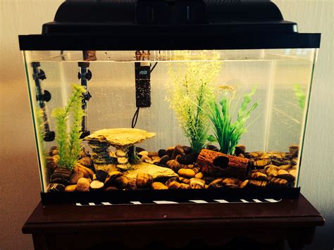 Review Of 10 Gallon Betta Fish Tank References