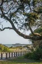 Maybe you would like to learn more about one of these? Campsite Reservations | Myrtle Beach State Park, SC