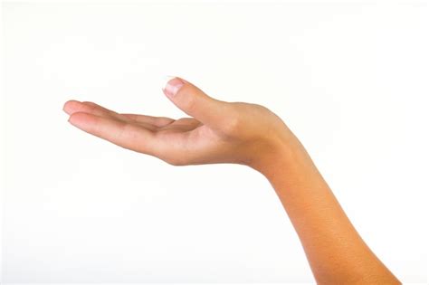 Crop Shot Of A Womans Cupped Hand Photo Free Download