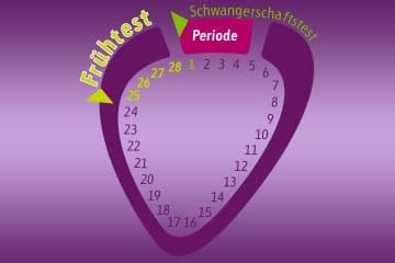 Dabei gibt es verschiedene möglichkeiten, festzustellen, ob. Schwangerschaftstest und Schwangerschafts-Frühtest: Ab ...