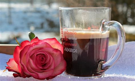 Jun 01, 2021 · good or bad, right or wrong, i wouldn't want to live in a world without coffee, ree says. Coffee Cup Good Morning · Free photo on Pixabay