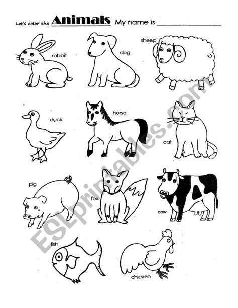 Animals Esl Worksheet By Sue Animals Esl Worksheet By Chance Payne